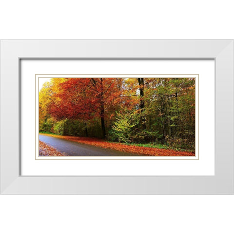 Woods Wanderer 2 White Modern Wood Framed Art Print with Double Matting by Frances, Stephanie