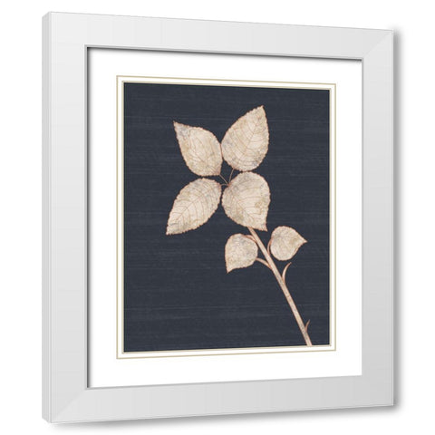 Flower 2 White Modern Wood Framed Art Print with Double Matting by Gibbons, Lauren