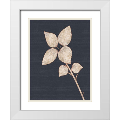 Flower 2 White Modern Wood Framed Art Print with Double Matting by Gibbons, Lauren