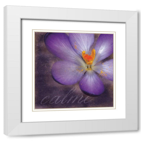 Calm Flower White Modern Wood Framed Art Print with Double Matting by Gibbons, Lauren