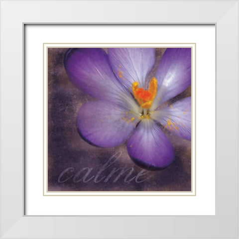 Calm Flower White Modern Wood Framed Art Print with Double Matting by Gibbons, Lauren