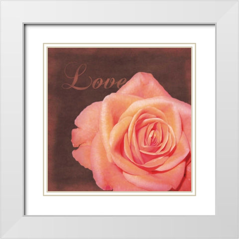 Love Rose White Modern Wood Framed Art Print with Double Matting by Gibbons, Lauren