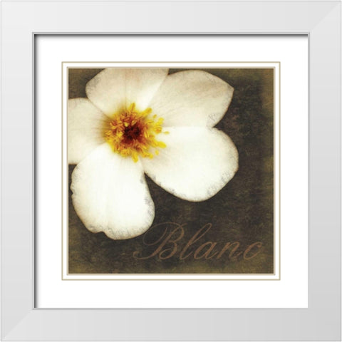 Blanc Flower White Modern Wood Framed Art Print with Double Matting by Gibbons, Lauren