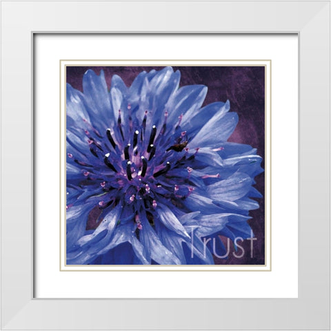Trust Flower White Modern Wood Framed Art Print with Double Matting by Gibbons, Lauren