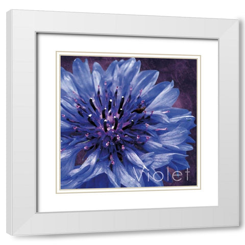 Violet Flower White Modern Wood Framed Art Print with Double Matting by Gibbons, Lauren