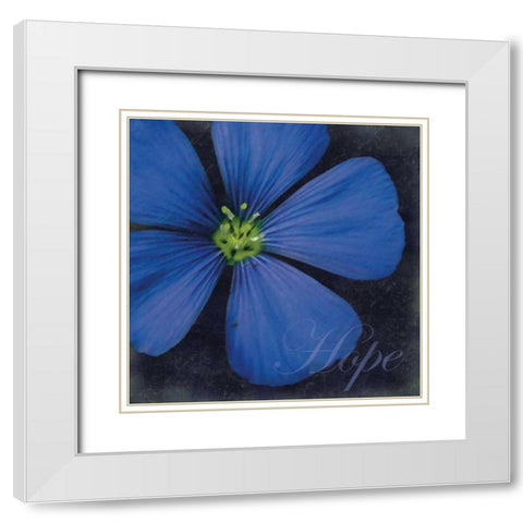 Hope Flower White Modern Wood Framed Art Print with Double Matting by Gibbons, Lauren