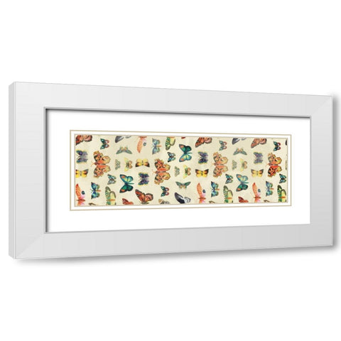 Butterflies White Modern Wood Framed Art Print with Double Matting by Grey, Jace