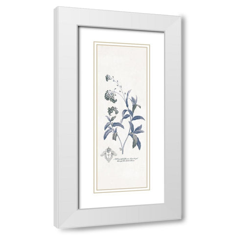 Beautiful Flowers White Modern Wood Framed Art Print with Double Matting by Grey, Jace