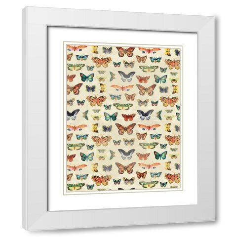 Butterflies White Modern Wood Framed Art Print with Double Matting by Grey, Jace