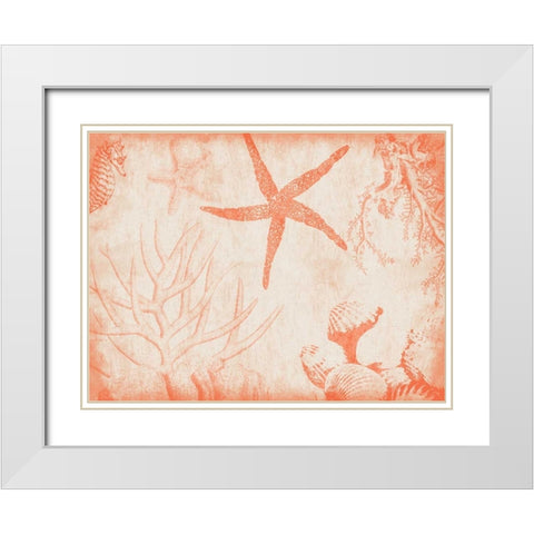 Sea Life in Tangerine 2 White Modern Wood Framed Art Print with Double Matting by Grey, Jace