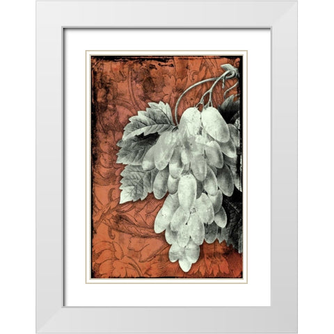 Grapes E White Modern Wood Framed Art Print with Double Matting by Grey, Jace