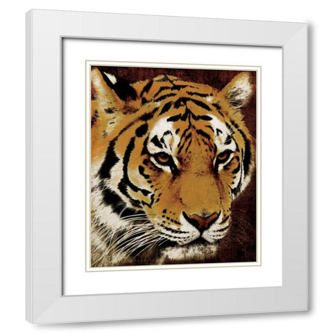 Tiger White Modern Wood Framed Art Print with Double Matting by Grey, Jace