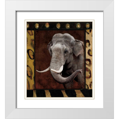 Elephant Bordered White Modern Wood Framed Art Print with Double Matting by Grey, Jace
