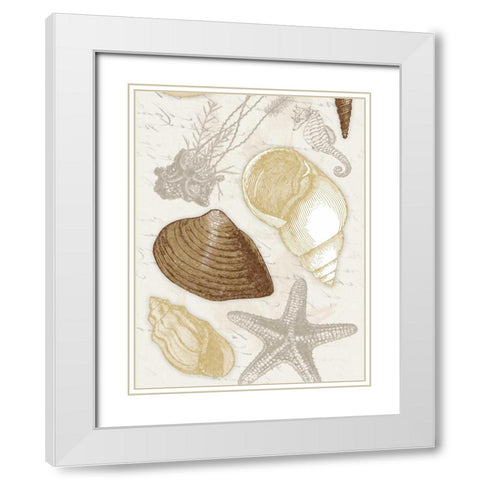Shells White Modern Wood Framed Art Print with Double Matting by Grey, Jace