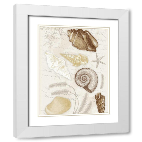 Shells Mate White Modern Wood Framed Art Print with Double Matting by Grey, Jace