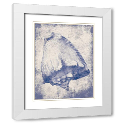 Shell Shade White Modern Wood Framed Art Print with Double Matting by Grey, Jace
