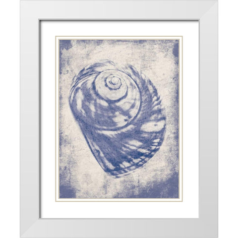Shell Shade Mate White Modern Wood Framed Art Print with Double Matting by Grey, Jace