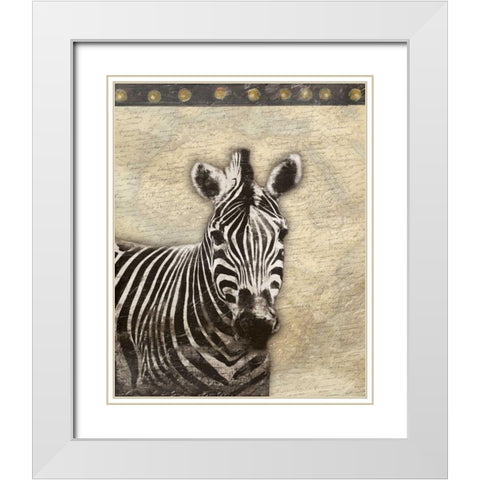 Zebra Africa 2 White Modern Wood Framed Art Print with Double Matting by Grey, Jace