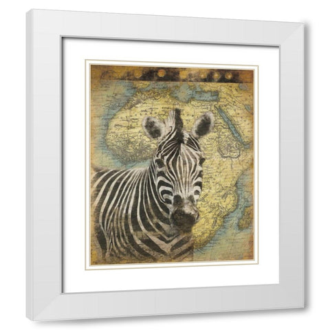 Zebra Africa White Modern Wood Framed Art Print with Double Matting by Grey, Jace