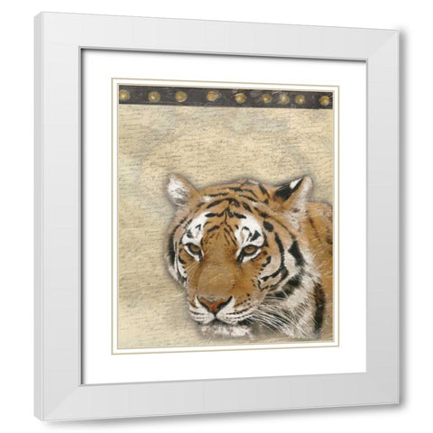 Tiger Africa 2 White Modern Wood Framed Art Print with Double Matting by Grey, Jace
