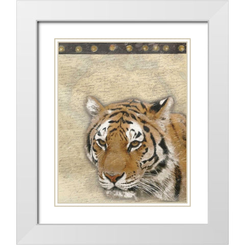 Tiger Africa 2 White Modern Wood Framed Art Print with Double Matting by Grey, Jace