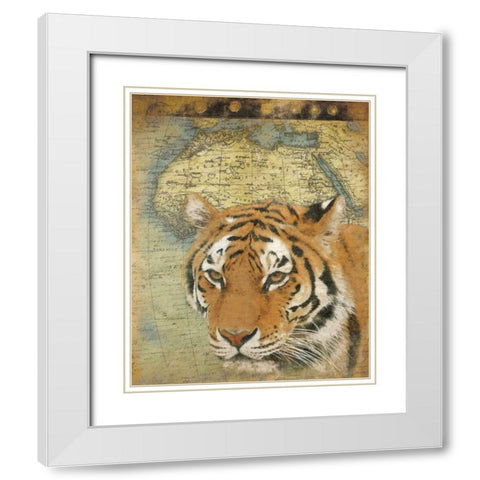 Tiger Africa White Modern Wood Framed Art Print with Double Matting by Grey, Jace