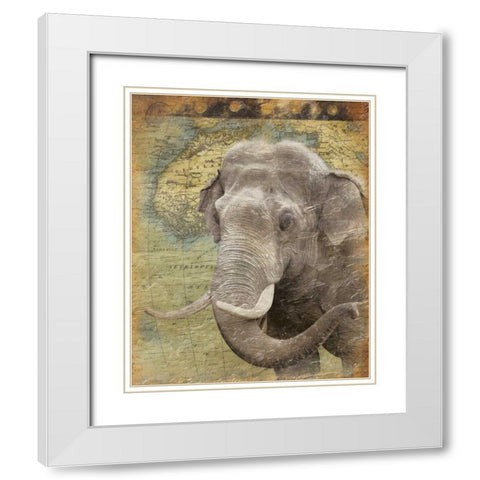 Elephant 2 White Modern Wood Framed Art Print with Double Matting by Grey, Jace
