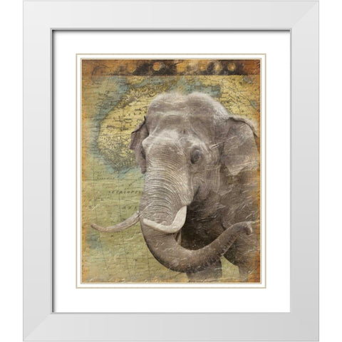 Elephant 2 White Modern Wood Framed Art Print with Double Matting by Grey, Jace