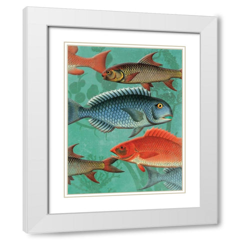 School OF Fish White Modern Wood Framed Art Print with Double Matting by Grey, Jace
