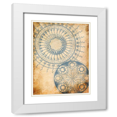Coastal Patterns Mate White Modern Wood Framed Art Print with Double Matting by Grey, Jace
