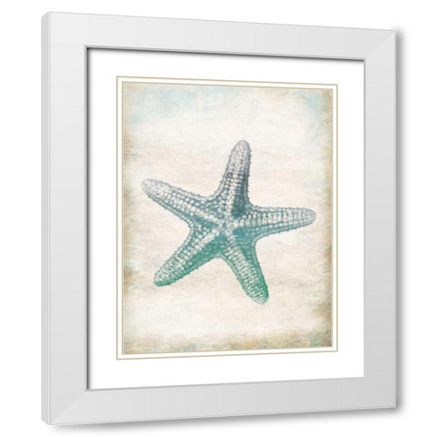 Starfish White Modern Wood Framed Art Print with Double Matting by Grey, Jace