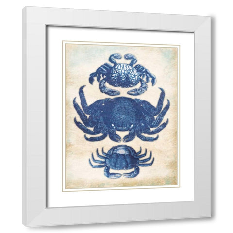 3 Crabs White Modern Wood Framed Art Print with Double Matting by Grey, Jace