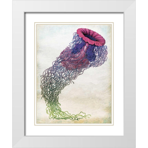 Jellyfish White Modern Wood Framed Art Print with Double Matting by Grey, Jace