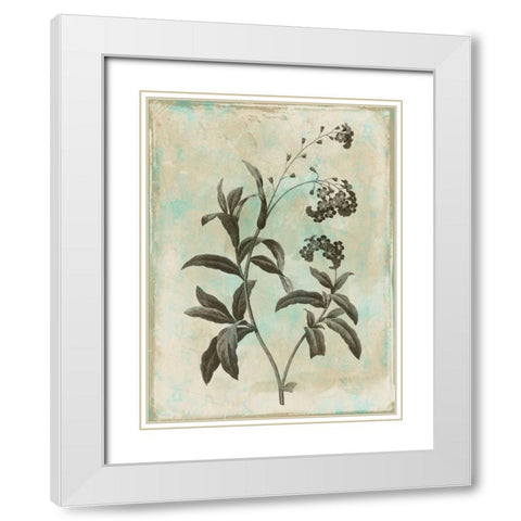 Earthy floral 1 White Modern Wood Framed Art Print with Double Matting by Grey, Jace