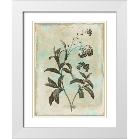 Earthy floral 1 White Modern Wood Framed Art Print with Double Matting by Grey, Jace