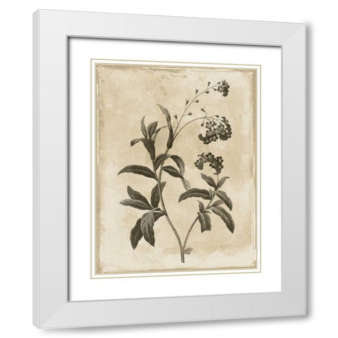 Earthy floral 1 White Modern Wood Framed Art Print with Double Matting by Grey, Jace