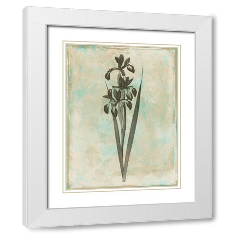 Earthy Floral Blend White Modern Wood Framed Art Print with Double Matting by Grey, Jace