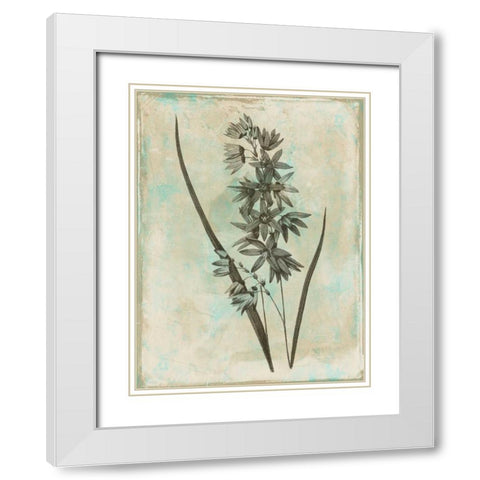 Earthy Blend White Modern Wood Framed Art Print with Double Matting by Grey, Jace
