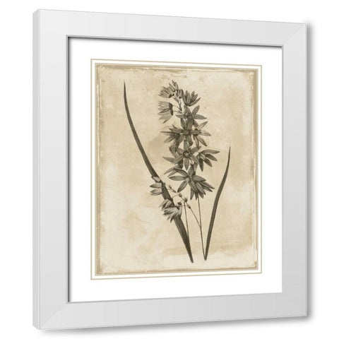 Earthy  floral 3 White Modern Wood Framed Art Print with Double Matting by Grey, Jace