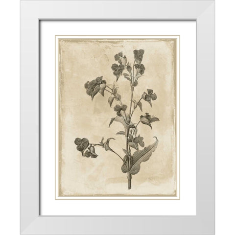 Earthy floral 4 White Modern Wood Framed Art Print with Double Matting by Grey, Jace