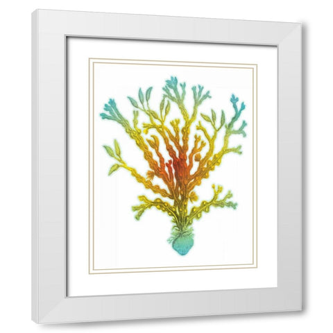 Colorful beach White Modern Wood Framed Art Print with Double Matting by Grey, Jace