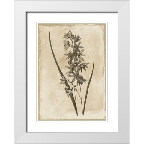 Floral Earthtone White Modern Wood Framed Art Print with Double Matting by Grey, Jace