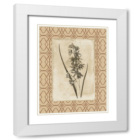 Floral bordered White Modern Wood Framed Art Print with Double Matting by Grey, Jace
