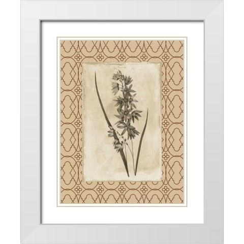 Floral bordered White Modern Wood Framed Art Print with Double Matting by Grey, Jace