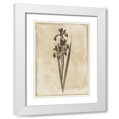 Floral Earthtone Two White Modern Wood Framed Art Print with Double Matting by Grey, Jace
