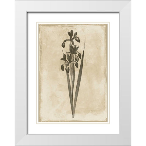 Floral Earthtone Two White Modern Wood Framed Art Print with Double Matting by Grey, Jace