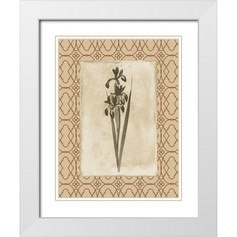 Floral bordered 2 White Modern Wood Framed Art Print with Double Matting by Grey, Jace