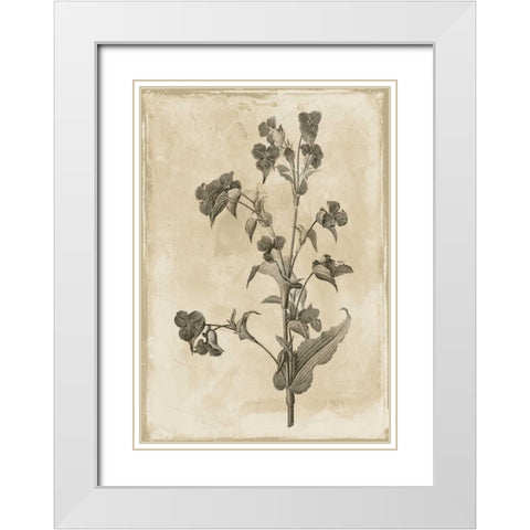 Floral Earthtone Three White Modern Wood Framed Art Print with Double Matting by Grey, Jace