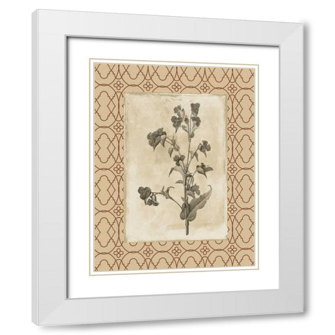 Floral bordered 3 White Modern Wood Framed Art Print with Double Matting by Grey, Jace
