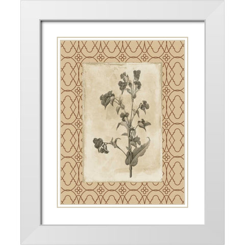 Floral bordered 3 White Modern Wood Framed Art Print with Double Matting by Grey, Jace